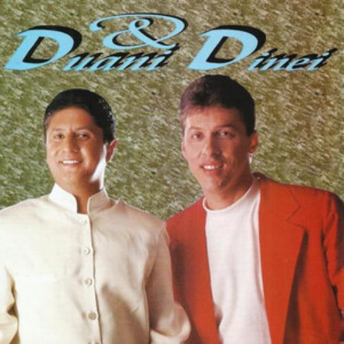 Duani e Dinei